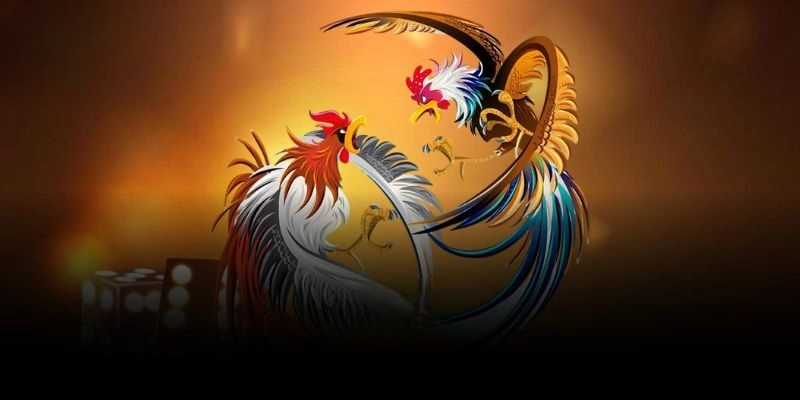 Đá Gà SUNWIN – Trải Nghiệm Trực Tuyến Uy Tín, Kèo Chuẩn 2025